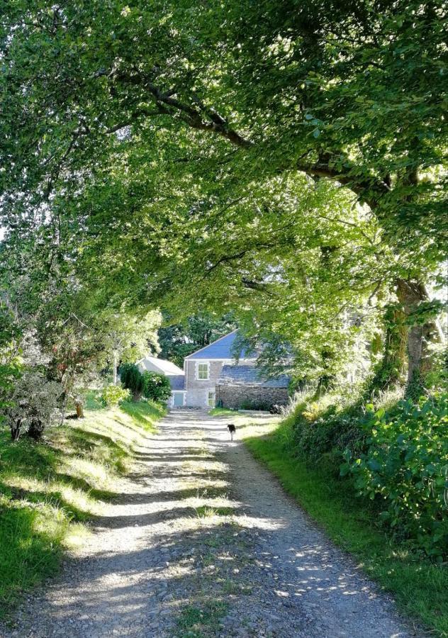 Cornwall, Looe - Magical Pendriffey Pelynt Extérieur photo