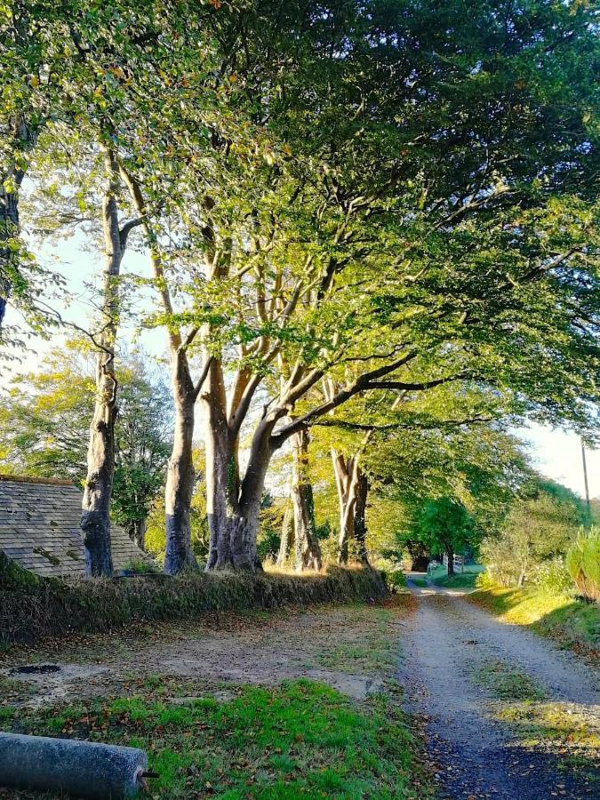 Cornwall, Looe - Magical Pendriffey Pelynt Extérieur photo